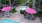 a pool and hot tub in a courtyard with umbrellas